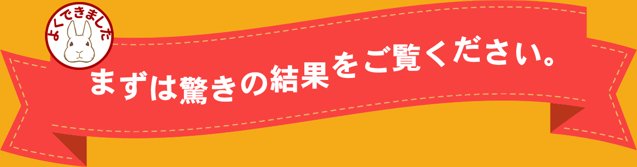 まずは驚きの結果をご覧ください